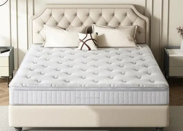 <a href=http://m.skysea0558.com.cn/news_article.html?news_id=166>酒店床墊銷售廠家</a> <a href=http://m.skysea0558.com.cn/news_article.html?news_id=166>酒店床墊銷售廠家</a>